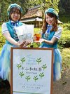 園内の茶畑（後方）で取れた茶葉を使って新発売された「ぎふ和紅茶」＝美濃加茂市山之上町、ぎふ清流里山公園