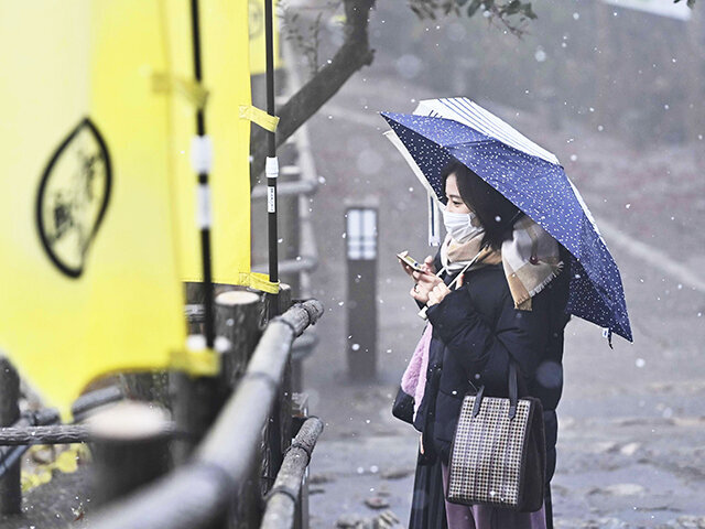 初雪が舞う中、散策する観光客＝１５日午前９時４５分、岐阜市の金華山