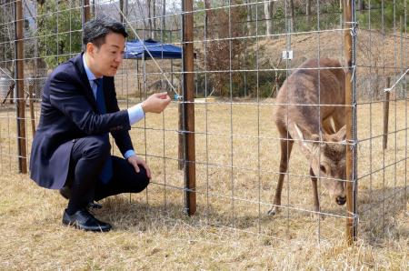 　大阪市内で捕獲されたシカに声をかける横山英幸大阪市長＝２８日午後、大阪府能勢町