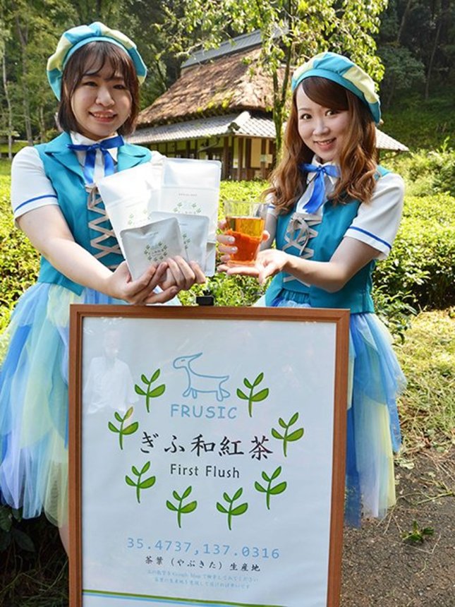 園内の茶畑（後方）で取れた茶葉を使って新発売された「ぎふ和紅茶」＝美濃加茂市山之上町、ぎふ清流里山公園