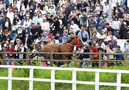 　相馬野馬追の「甲冑競馬」で、コースの外に飛び出した馬＝２４日午後、福島県南相馬市