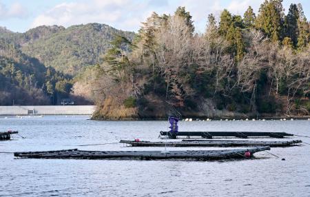 　養殖いかだ＝１０日、宮城県気仙沼市