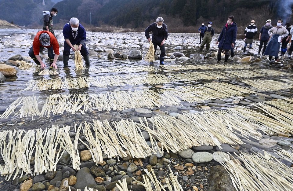 冷たい川の水にさらされるコウゾ＝１３日午前１０時２９分、美濃市御手洗、板取川