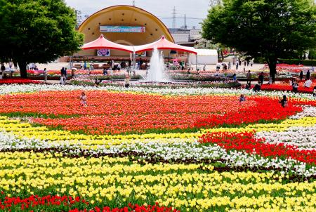 　色とりどりの花が咲く砺波チューリップ公園＝２８日午後、富山県砺波市