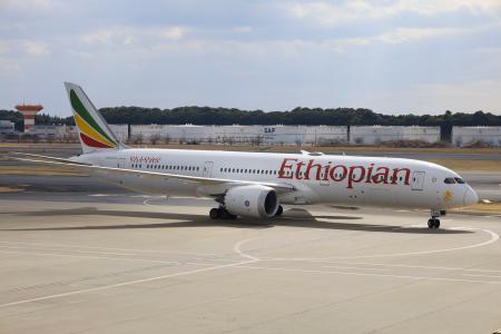 　日本政府が手配した国営エチオピア航空のチャーター機＝１１日、成田空港
