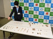 台所と曲輪群の調査で出土した玉石や陶磁器片など＝山県市役所