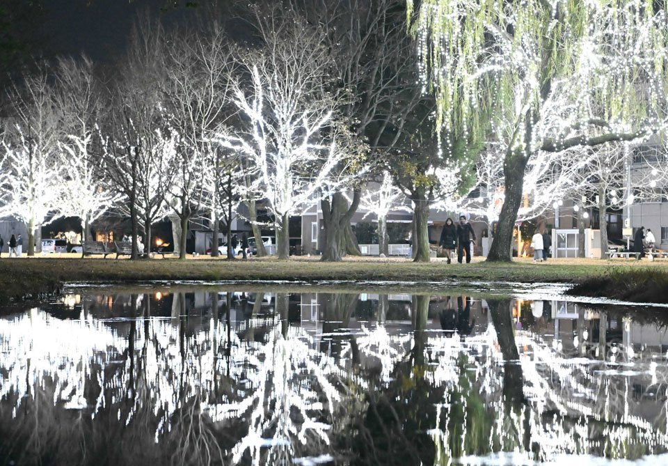 園内の池に映し出されたイチョウ並木の電飾＝６日午後６時３４分、各務原市那加雲雀町、学びの森
