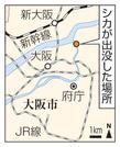 　大阪市都島区・シカが出没した場所、ＪＲ大阪駅