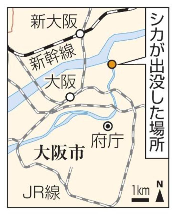 　大阪市都島区・シカが出没した場所、ＪＲ大阪駅