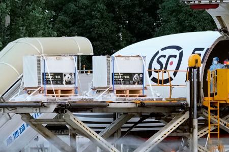 　ジャイアントパンダをのせ中国四川省成都の空港に到着したチャーター機から運び出されるケージ＝２８日（共同）
