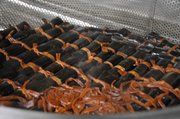 照り良く、煮上がった鮎の昆布巻き