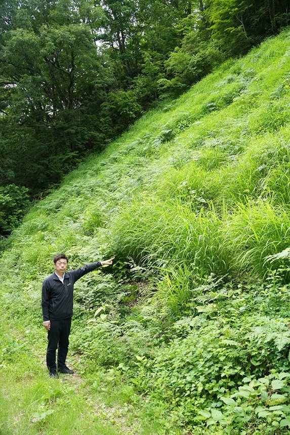 茅場でカリヤスを指さす白川村教育委員会の尾崎達也さん