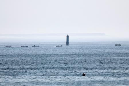 　北方領土・歯舞群島の貝殻島付近の漁場でコンブ漁をする漁船＝１日午前７時３５分