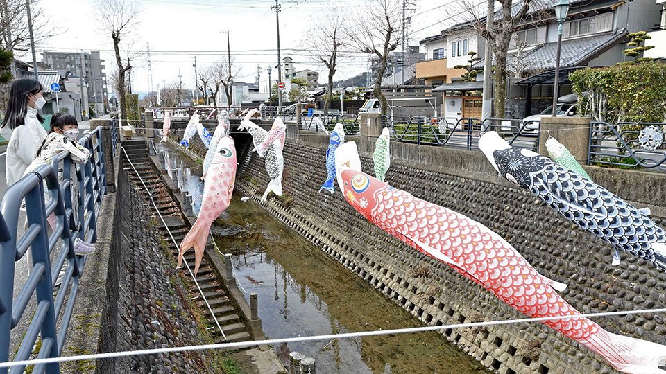 天神川の上を泳ぐ大小さまざまなこいのぼり＝岐阜市福光東