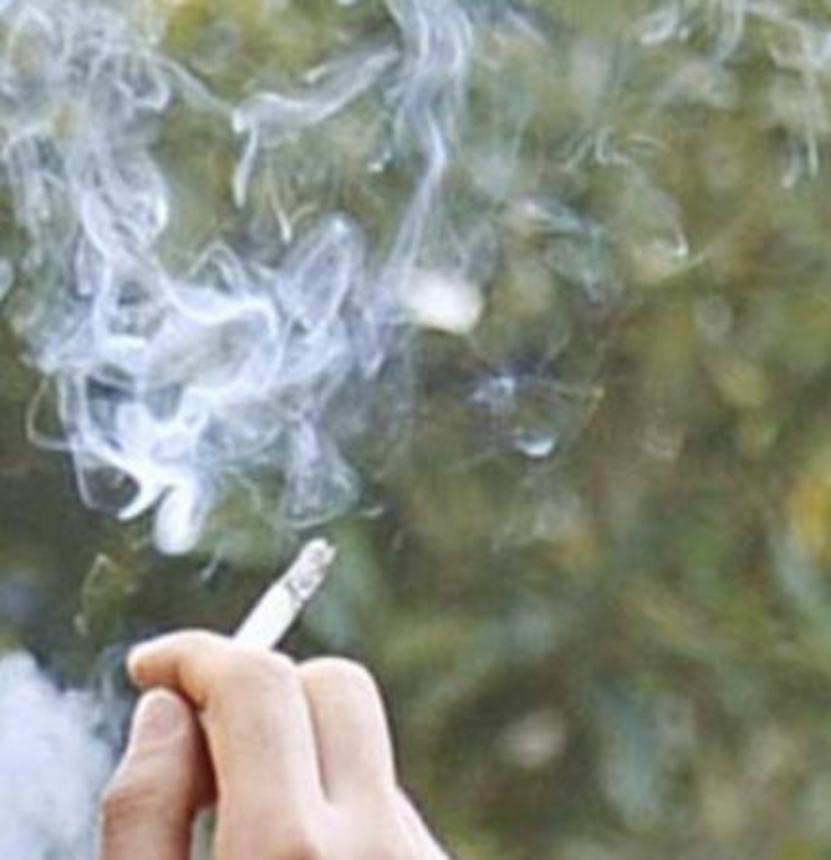 　たばこの煙