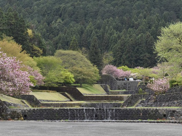 階段のように連なる砂防施設。季節の花々や新緑が楽しめる＝海津市南濃町奥条、羽根谷だんだん公園