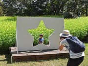 花壇に設置されたフォトスポットも人気＝海津市海津町油島、木曽三川公園センター