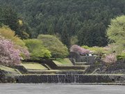 階段のように連なる砂防施設。季節の花々や新緑が楽しめる＝海津市南濃町奥条、羽根谷だんだん公園