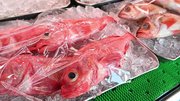 ショーケースに並ぶ魚＝岐阜市長住町、うをじゅう