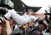 　２００６年４月、選抜高校野球大会で優勝し、ナインに胴上げされる横浜高の渡辺元智監督＝甲子園球場
