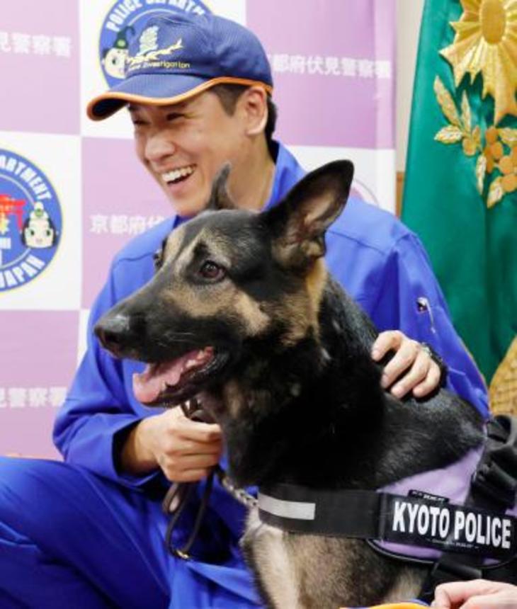 　感謝状などが贈られた警察犬メルクリウス号と京都府警鑑識課の石垣雅俊巡査部長＝７日午後、京都・伏見署