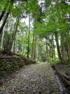 謡坂石畳。江戸時代の旅人も往来した石畳のある街道は外国人観光客の人気を集める＝可児郡御嵩町小原