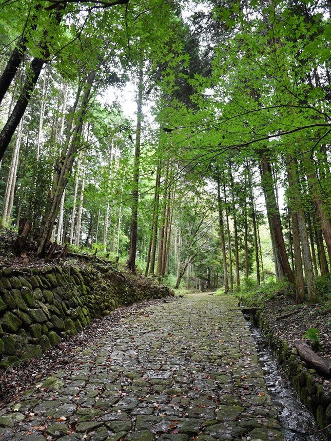 謡坂石畳。江戸時代の旅人も往来した石畳のある街道は外国人観光客の人気を集める＝可児郡御嵩町小原