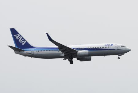 　重大インシデントを起こした全日空機の同型機