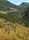 季節が進み、色づいた木々＝高山市丹生川町、乗鞍岳
