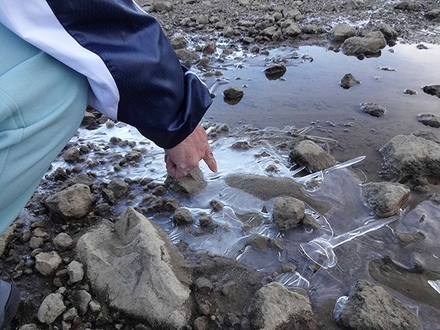今季初めて見つかった氷＝高山市、乗鞍岳（乗鞍スカイライン管理事務所提供）