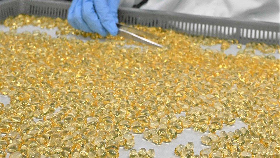 宝石のように輝くソフトカプセル。現代人の健康を支えている＝大垣市荒尾町