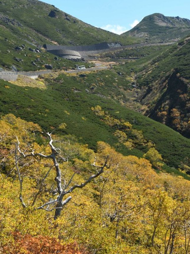 季節が進み、色づいた木々＝高山市丹生川町、乗鞍岳