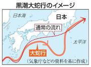 　黒潮大蛇行のイメージ