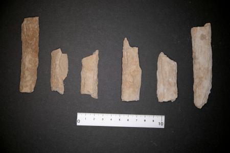 　古代文明「ディルムン」の古墳調査で見つかった人骨（アアリ古墳群西考古学プロジェクト提供）