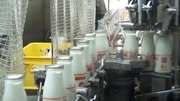 牛乳が満たされ、次々と流れていく瓶牛乳＝関市観音前、関牛乳