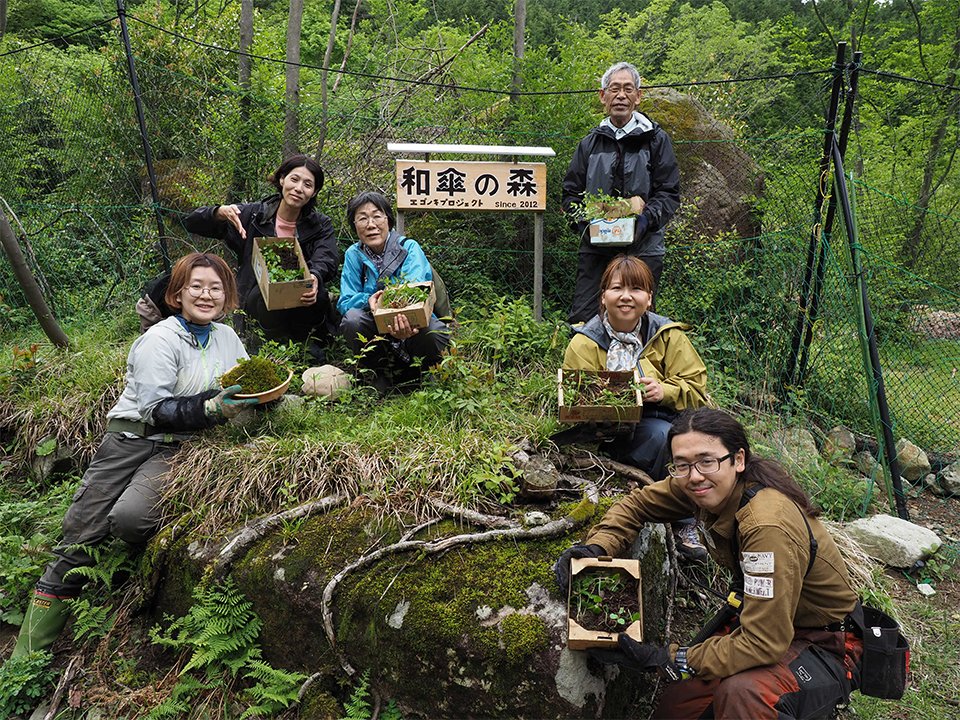 採取した稚樹を見せるエゴノキプロジェクトの実行委員たち。右奥が長屋一男さん、左端が長屋糸織さん＝美濃市の瓢ケ岳