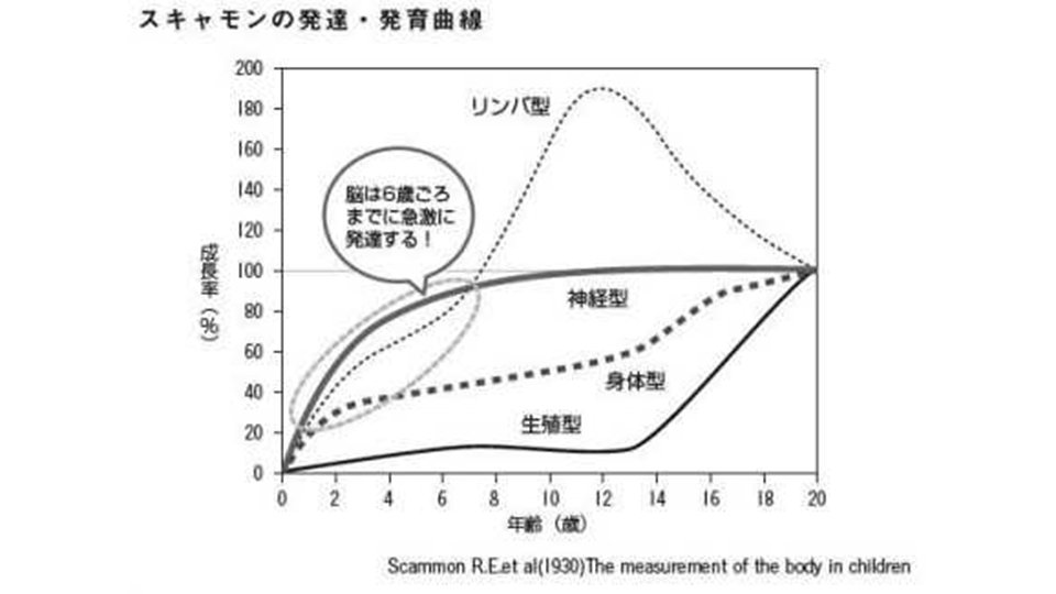 杉江瞬、長南幸安：日本科学教育学会研究会研究報告、３５（２）：１－４，２０２０より引用