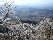 太陽の光に照らされてキラキラと光る樹氷。奥には琵琶湖が広がる＝５日午後０時４６分、滋賀県米原市上野、伊吹山