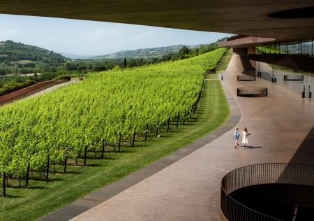 　ワイナリー「アンティノリ」の建物とブドウ畑＝イタリア・フィレンツェ近郊（Ｍａｒｃｈｅｓｉ　Ａｎｔｉｎｏｒｉ　Ｐｒｅｓｓ提供、ロイター＝共同）