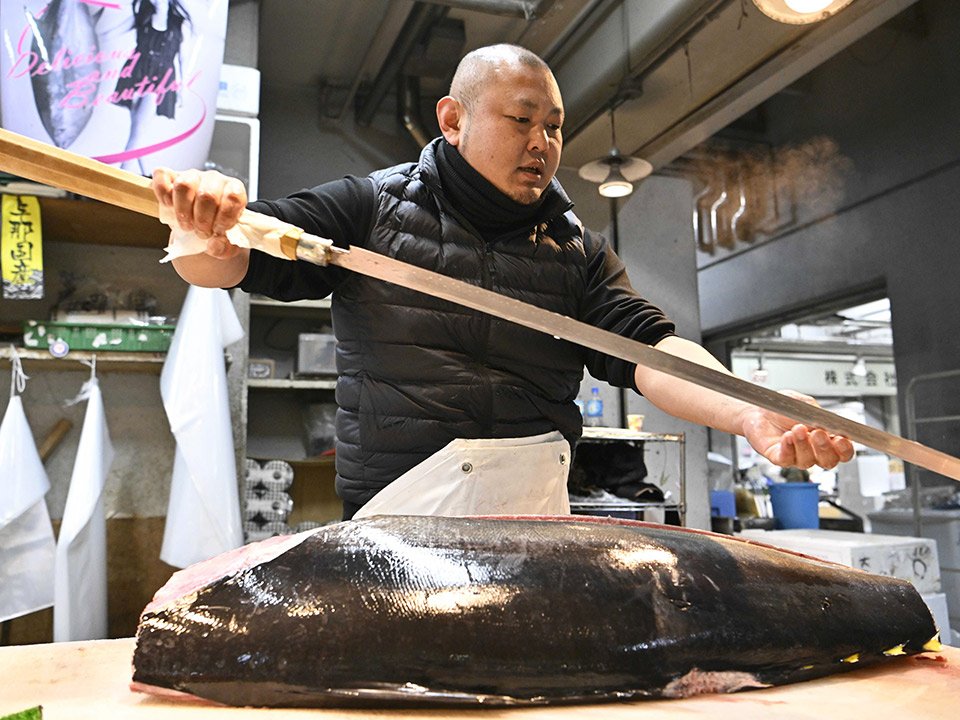 競り落としたばかりのマグロをさばく松野貴紀さん。１匹を１０分ほどで手早く解体する＝１８日、岐阜市茜部新所、市中央卸売市場