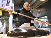 競り落としたばかりのマグロをさばく松野貴紀さん。１匹を１０分ほどで手早く解体する＝１８日、岐阜市茜部新所、市中央卸売市場