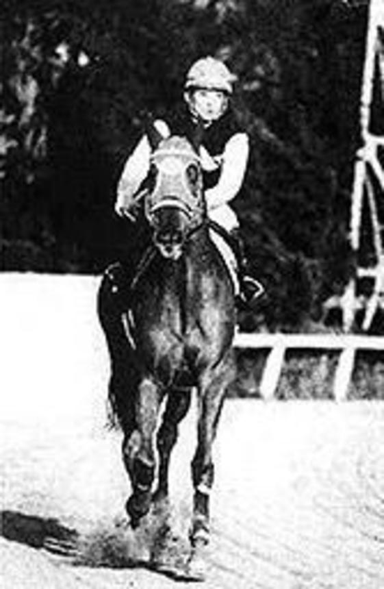 ＮＡＲグランプリ1994「４歳以上最優秀馬」のトミシノポルンガと安藤勝己騎手