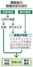 　離婚後の親権決定の流れ