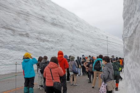　「立山黒部アルペンルート」が全線開通し、「雪の大谷ウオーク」を楽しむ観光客＝１５日午前、富山県立山町