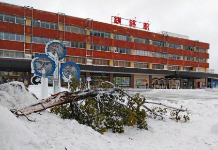 　大雪の影響で折れた街路樹の一部＝１５日午前、ＪＲ釧路駅前