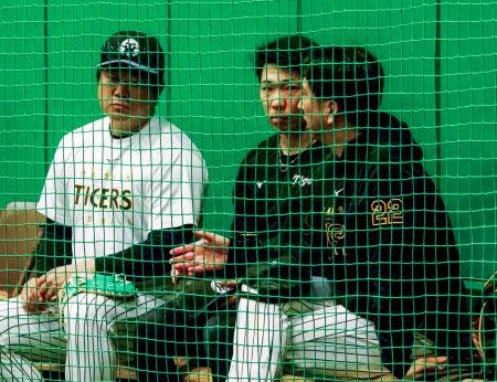 　秋季練習初日に藤川監督（右）、安藤コーチ（左）と話し合う阪神・石井＝兵庫県西宮市
