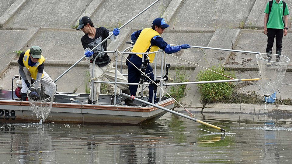 電気ショッカーボートの実証試験を行う参加者たち＝岐阜市茶屋新田、長良川