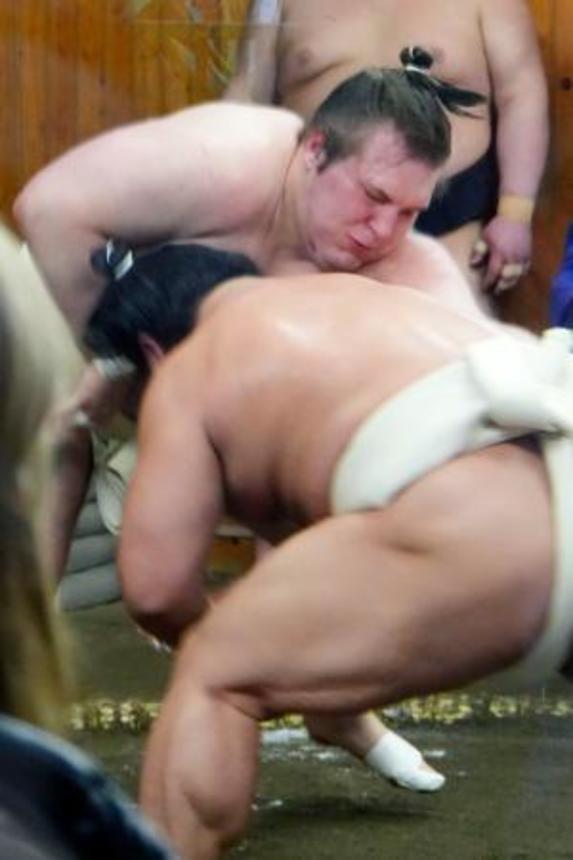 　荒汐部屋での出稽古で、若隆景と相撲を取る新大関安青錦＝東京都中央区