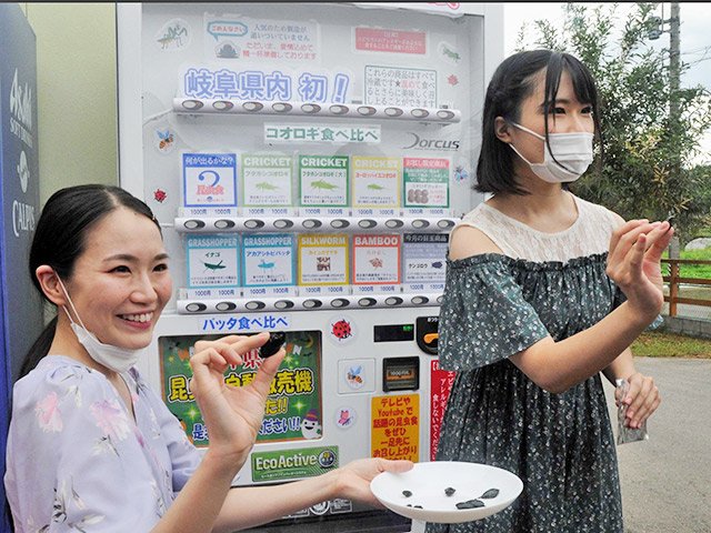 自動販売機の前で素揚げしたゲンゴロウを食べる塚本明里さん（左）と宮木梨花さん＝岐阜市日野北、くわがた村
