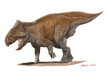 　角竜類の復元画（作・小田隆、久慈琥珀博物館提供）